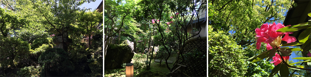 花開時節，心情也跟著綻放