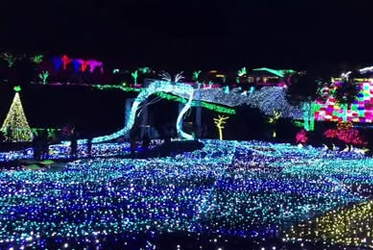 伊豆仙人掌公園50週年璀璨燈光秀：夏夜浪漫新選擇！