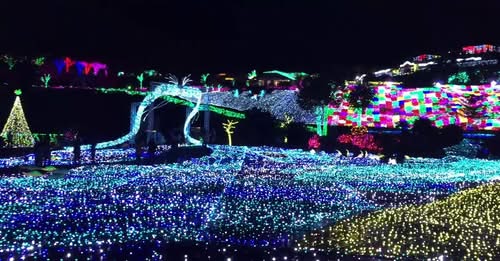 伊豆仙人掌公園50週年璀璨燈光秀：夏夜浪漫新選擇！