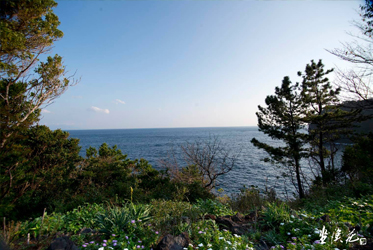 海洋哲學：生命的起伏與永恆之美