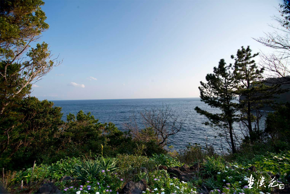 海洋哲學：生命的起伏與永恆之美