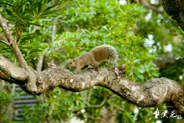 遠離塵囂，慢活時光