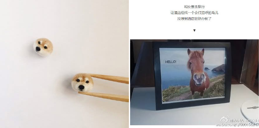 歡慶ABBA Rersorts微博站新居落成囉!