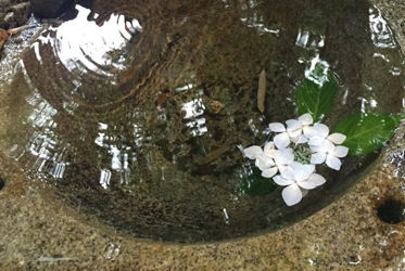 要怎麼樣才能成為一位詩人呢？