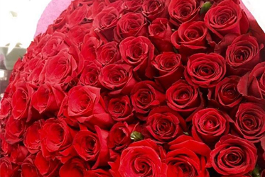 愛在坐漁莊：見證幸福的感人時刻