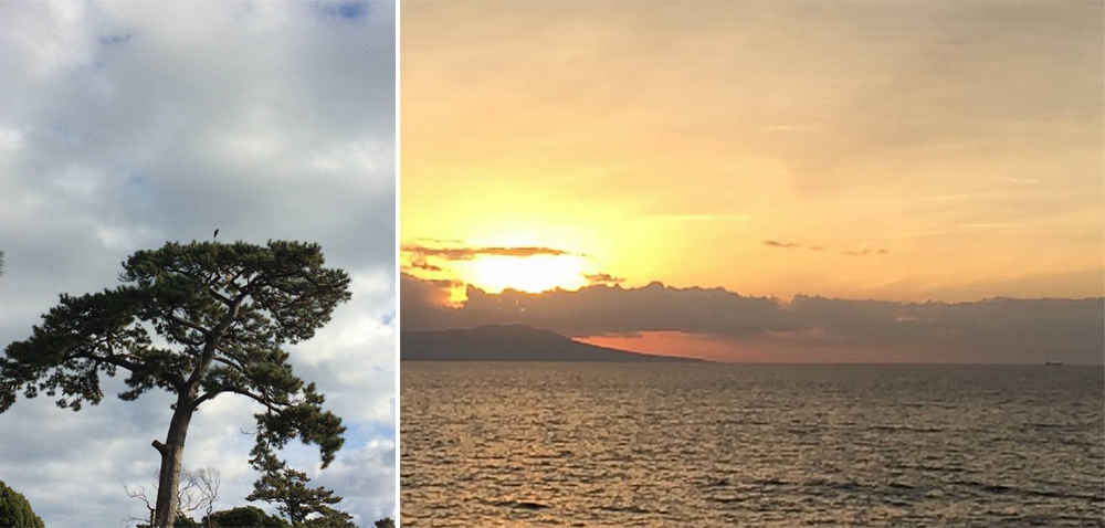 2017年ABBA坐漁莊：幸福曙光，美好祝願