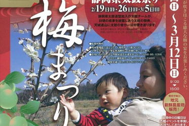 伊豆月之瀨梅林【梅祭】