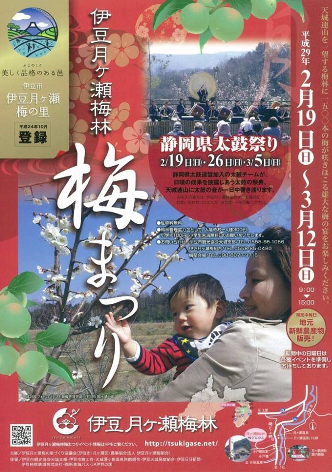 伊豆月之瀨梅林【梅祭】