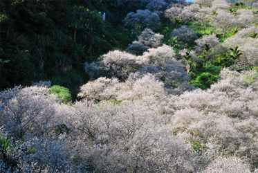 【世界真美好】