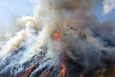 【有個伊豆，在水一方】