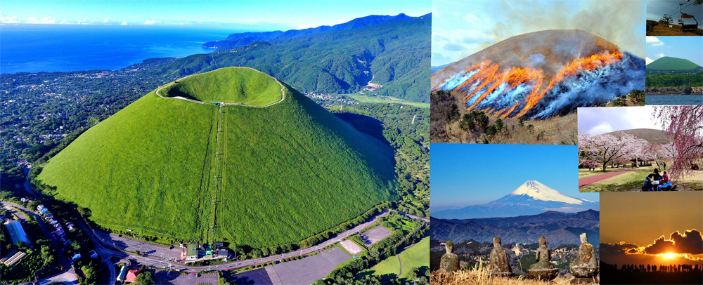 有個伊豆，在水一方