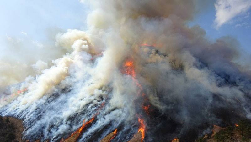 有個伊豆，在水一方