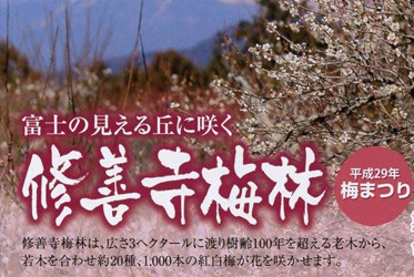 【有個伊豆，在水一方】