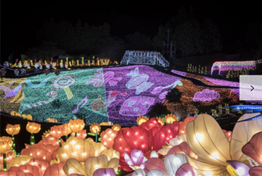 【伊豆風采─夜間燈展】