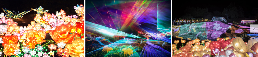 伊豆風采─夜間燈展