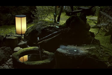 【低頭得見一番風景：微美之苔】