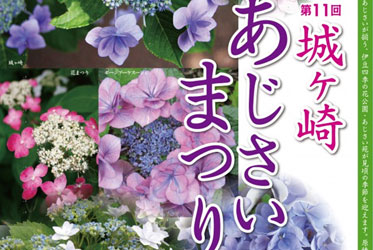 梅雨季的浪漫：四季花公園邀您賞花