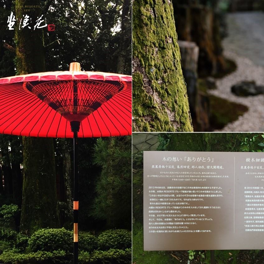 令日本欽佩的台灣情義，順應大自然療癒之力