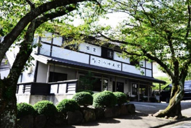 【東京後花園：藝術、文人收集靈感首選地】