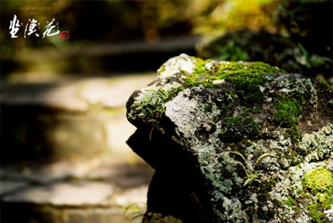 【土地，釋放數千年的能量療癒你心】