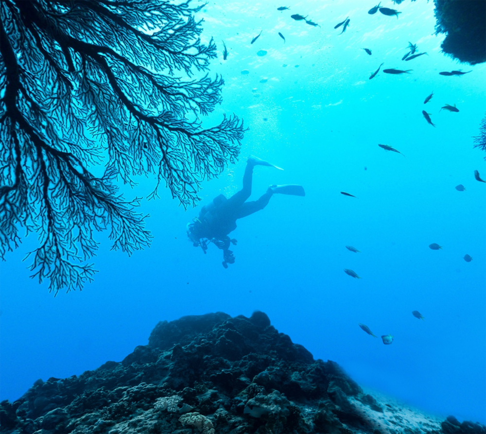 化身人魚，潛入蔚藍伊東沿海