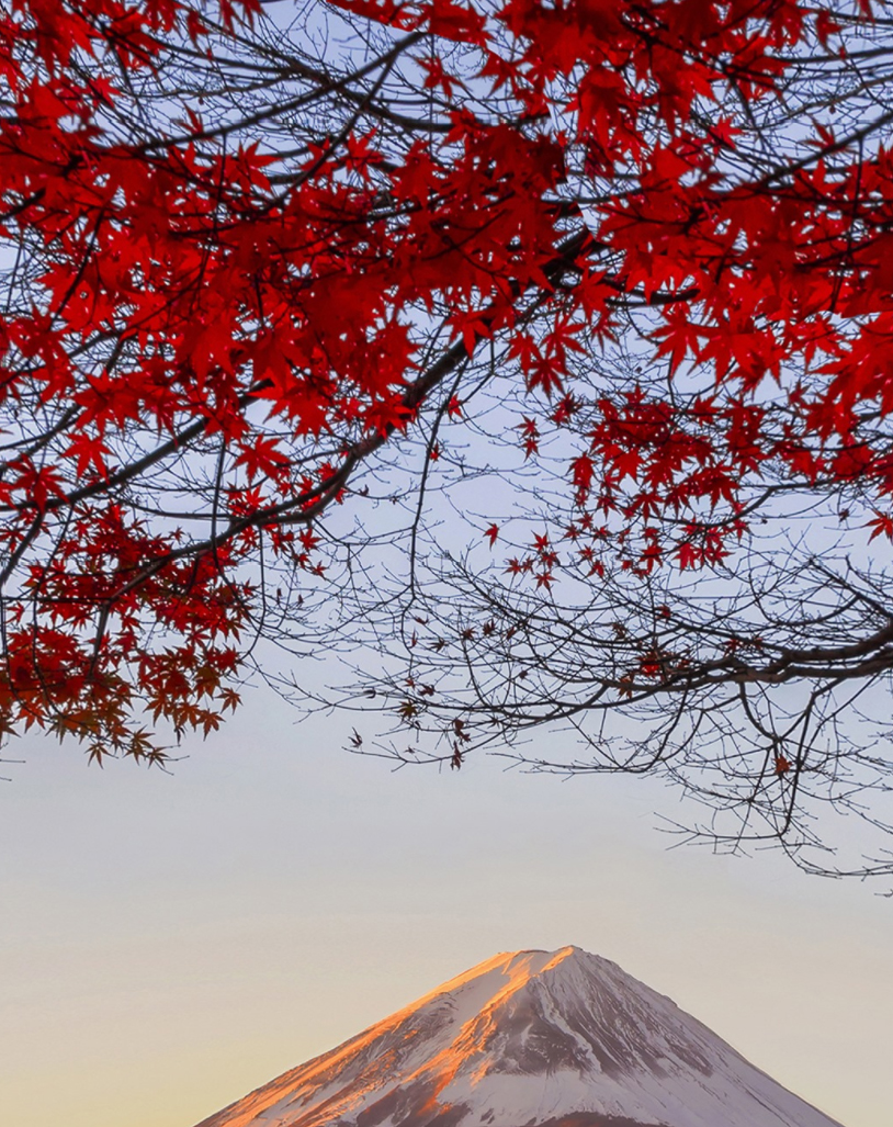 賞楓，是種心境，就該走入祕境