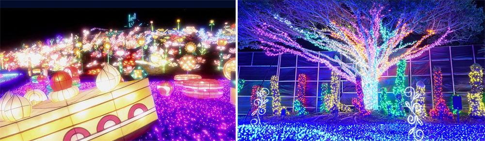 體驗極光耀動_伊豆ぐらんぱる公園