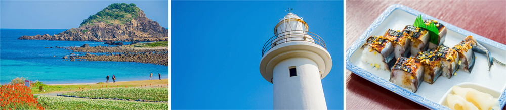 瓜木崎公園開花實況
