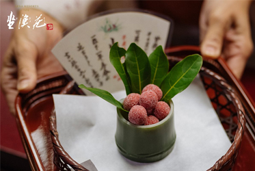 【何妨再續：一粒果的延年之祕】