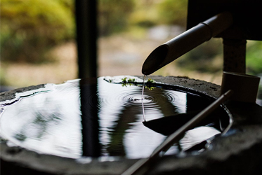 【水聲如琴，心湖盪漾】