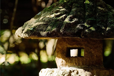 【信步悠遊日本文化天人相應的哲思中】