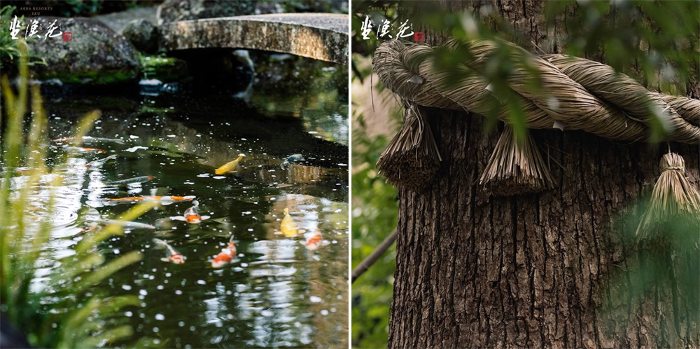 信步悠遊日本文化天人相應的哲思中