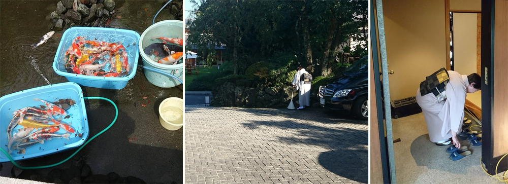 為了等待你的到來