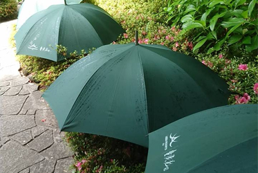 《坐漁莊日常》-曬傘