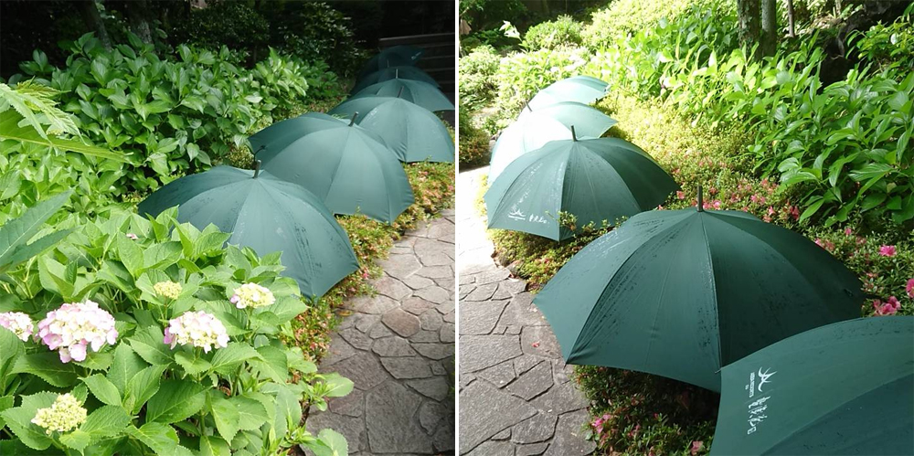 《坐漁莊日常》-曬傘