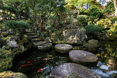《小梅研習日記》