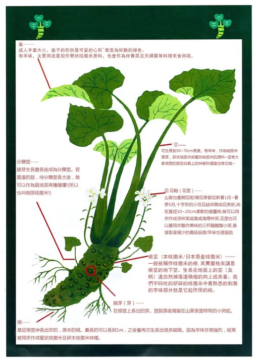 《I Love 哇撒米！》系列之-原來你就是可愛的哇撒米！