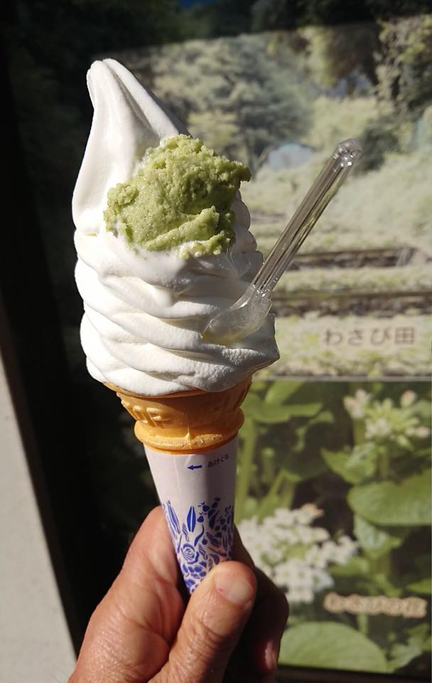 隱藏在濕地中的寶藏：天城越山葵的奧秘