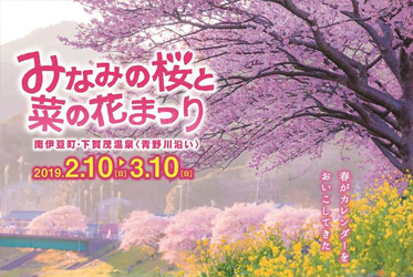 南伊豆的河津櫻賞櫻活動時間