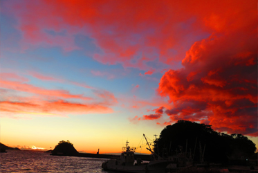 伊豆半島紅翻天