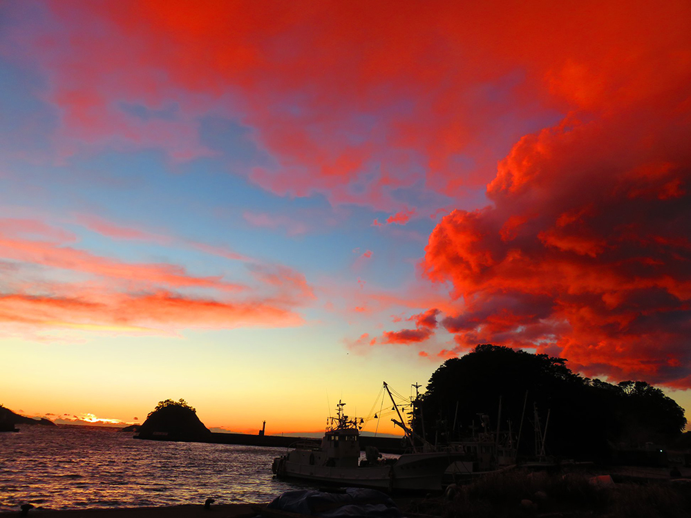 伊豆半島紅翻天