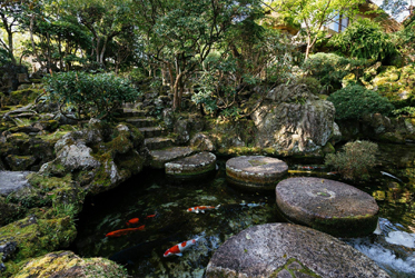 《坐漁莊的歲月靜好》