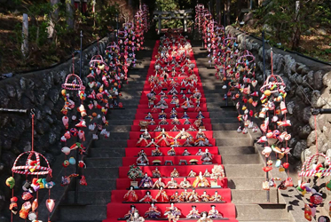 《跟著矢田爺爺去散步》