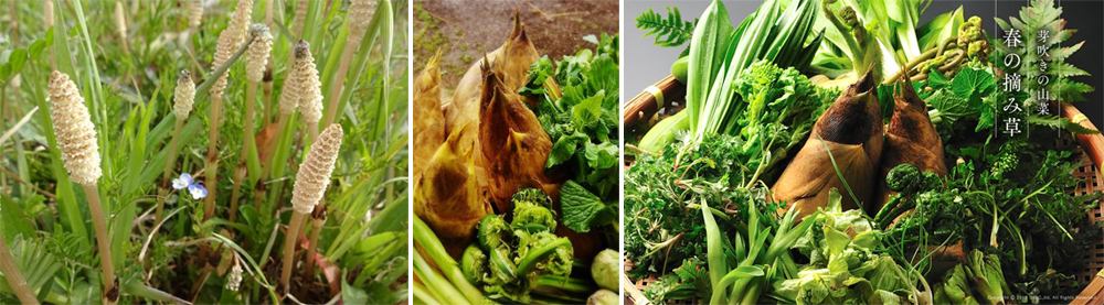 坐漁莊【清坐奏樂】