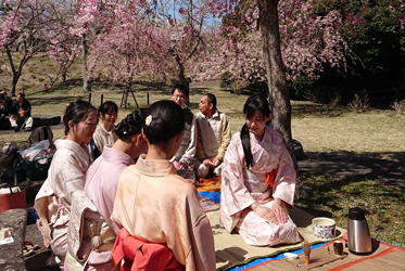 《矢田爺爺賞花報報》