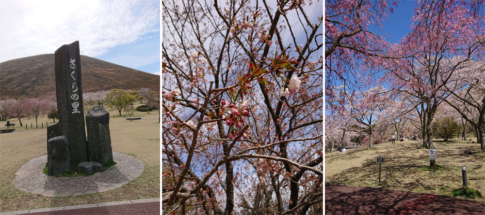 日本令和時代之美