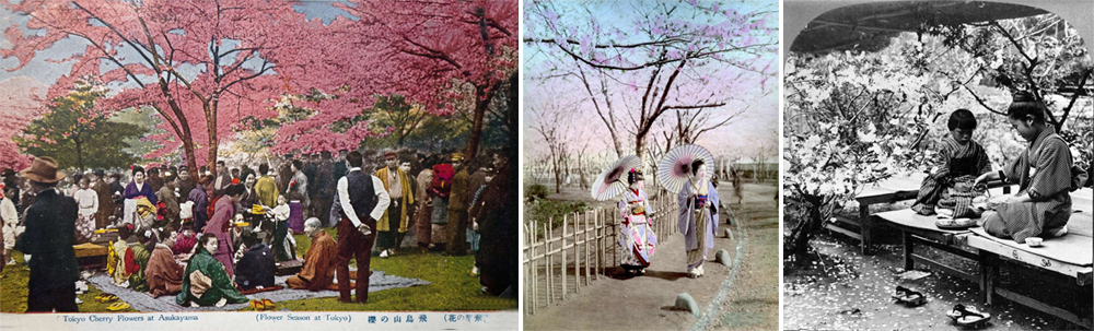 日本令和時代之美