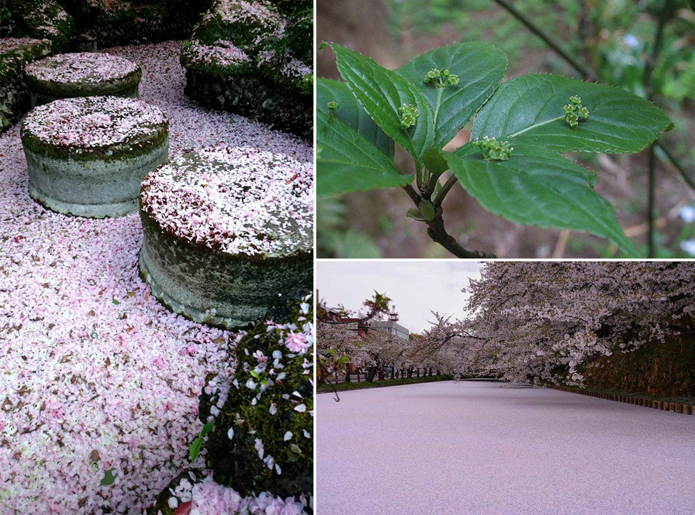 與你分享的美好