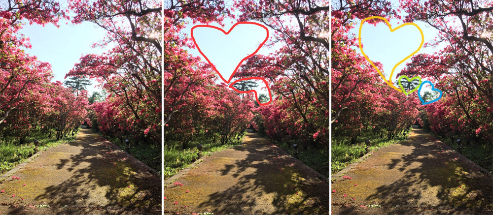 矢田爺爺-津村爸爸賞花報報