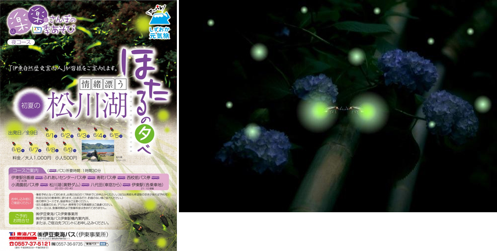 熠熠螢光伊東閃